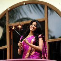 Aravaan Heroine Dhansika in saree - Stills | Picture 110091